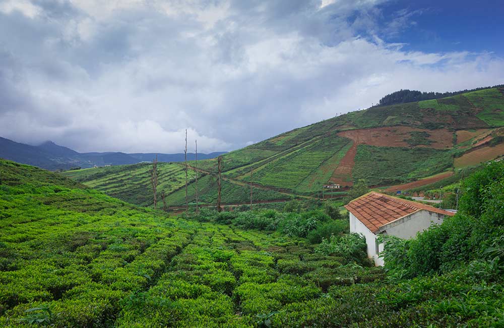 Best Hill Stations in South India